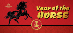 Year of the Horse